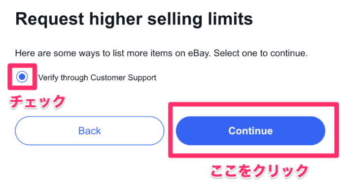 ebay リミットアップ limit up
