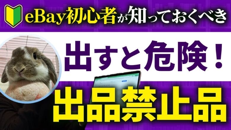 出すと危険、出品禁止品 画像