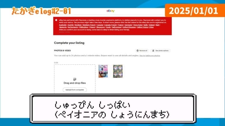 ペイオニア 出品失敗 画像
