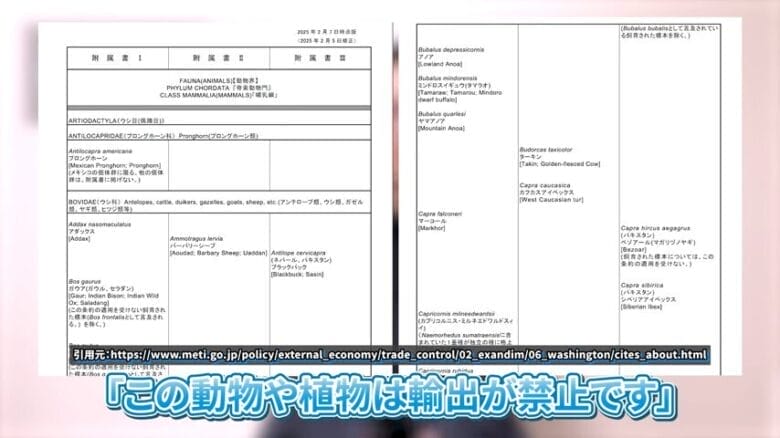 付属書 画像