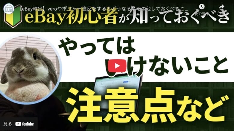 【eBay輸出】初心者が知っておくべき注意点とアカウント運営のコツ