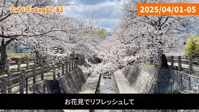 お花見でリフレッシュ 画像