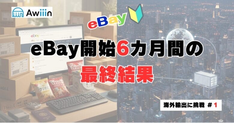eBay開始6カ月間の最終結果　見出し画像
